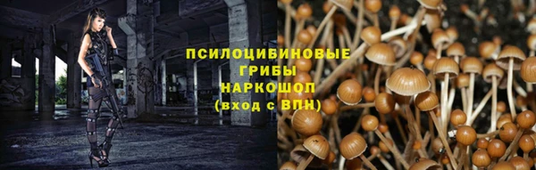 гидропоника Богородск